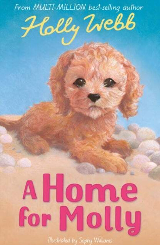 A Home for Molly av Holly Webb