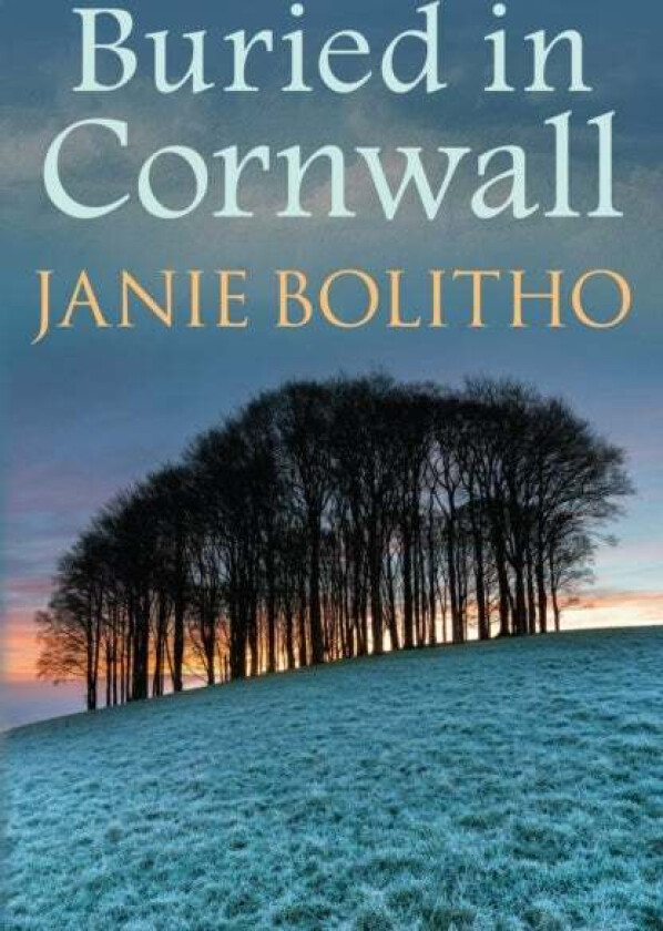Buried in Cornwall av Janie Bolitho