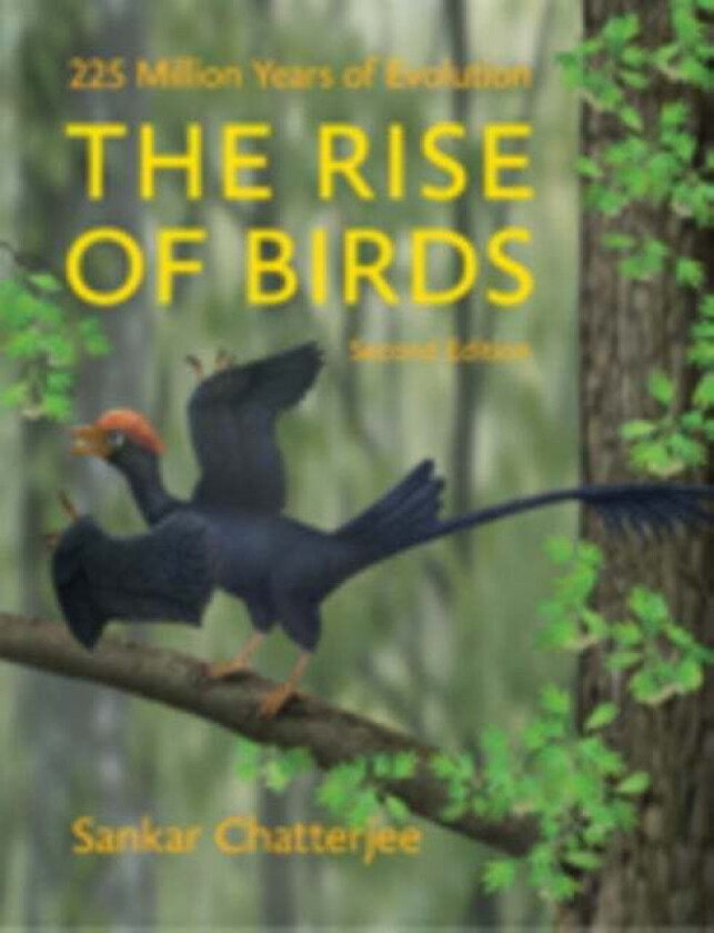 The Rise of Birds av Sankar (Paul Whitfield Horn Professor of Geology Museum of Texas Tech University) Chatterjee