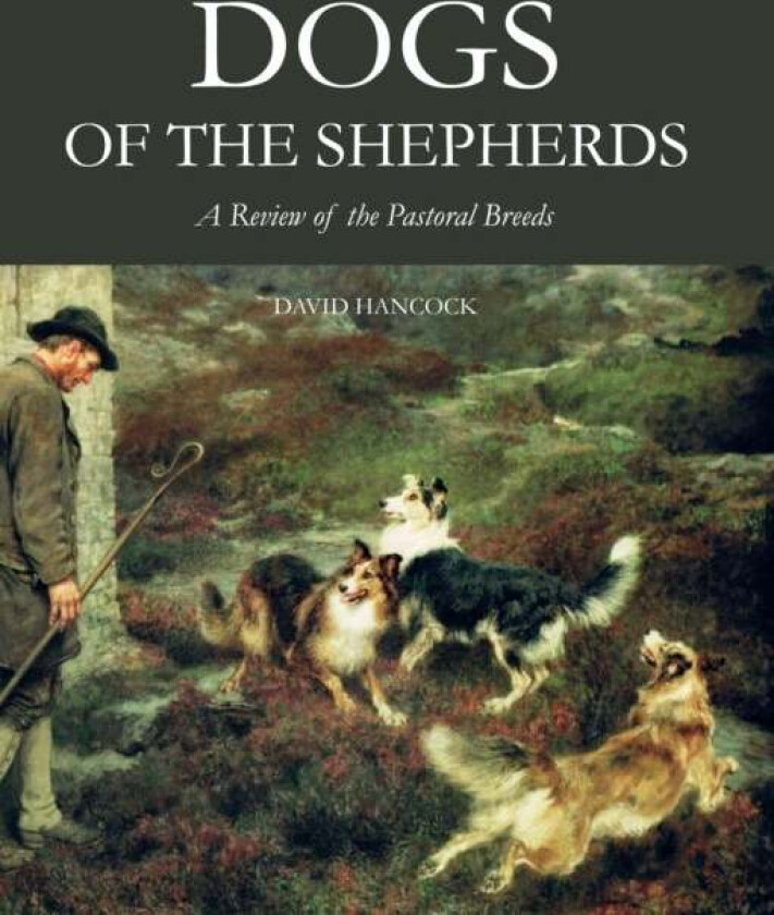 Dogs of the Shepherds av David MBE Hancock