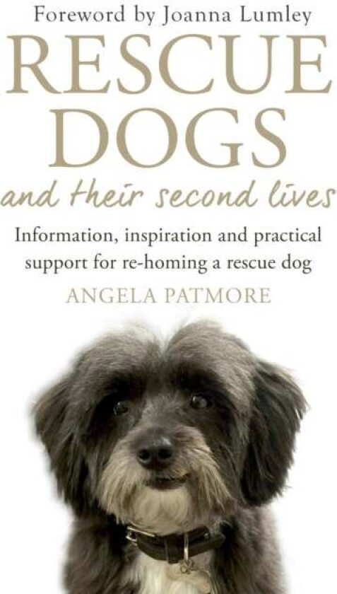 Rescue Dogs and Their Second Lives av Angela Patmore