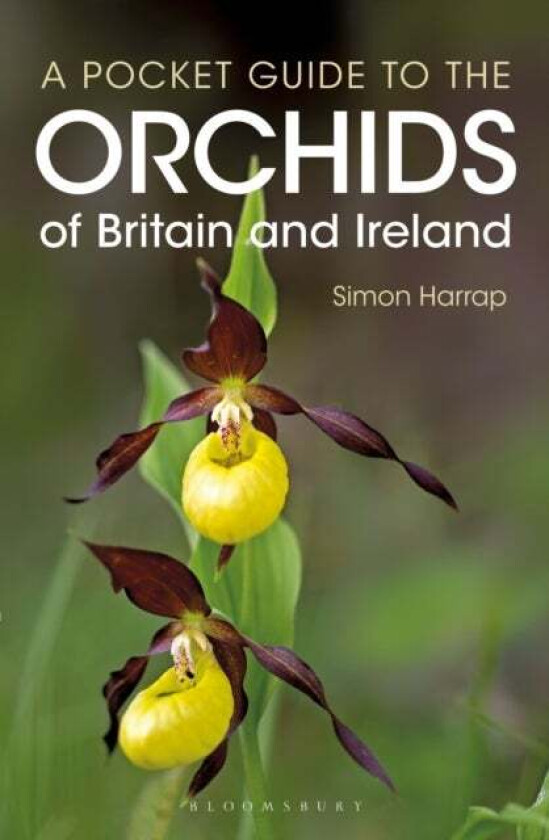 Pocket Guide to the Orchids of Britain and Ireland av Simon Harrap