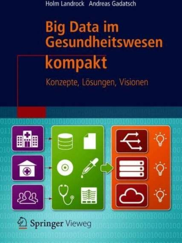 Big Data im Gesundheitswesen kompakt av Holm Landrock, Andreas Gadatsch