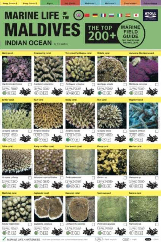 Maldives Marine Life Field Guide av Tim Godfrey