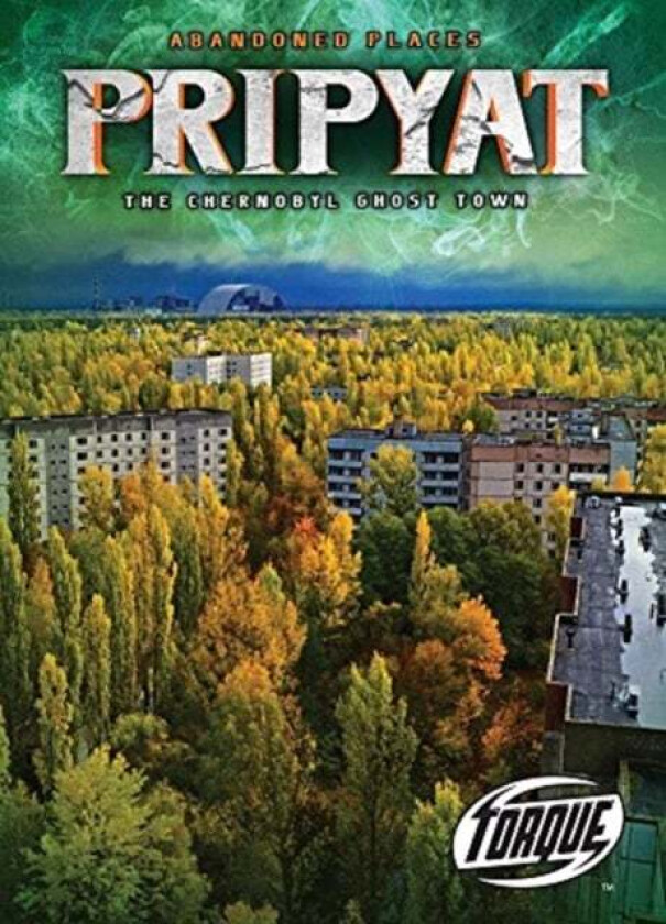 Pripyat: The Chernobyl Ghost Town av Lisa Owings