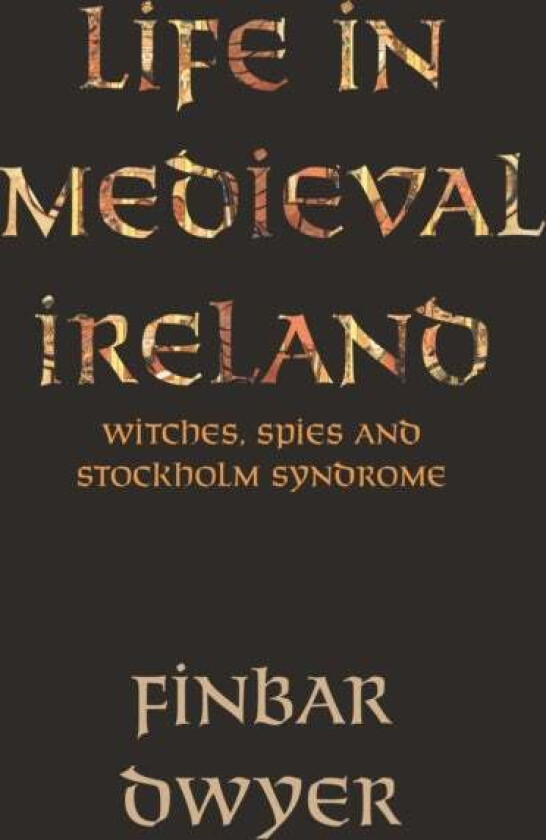 Life in Medieval Ireland av Finbar Dwyer