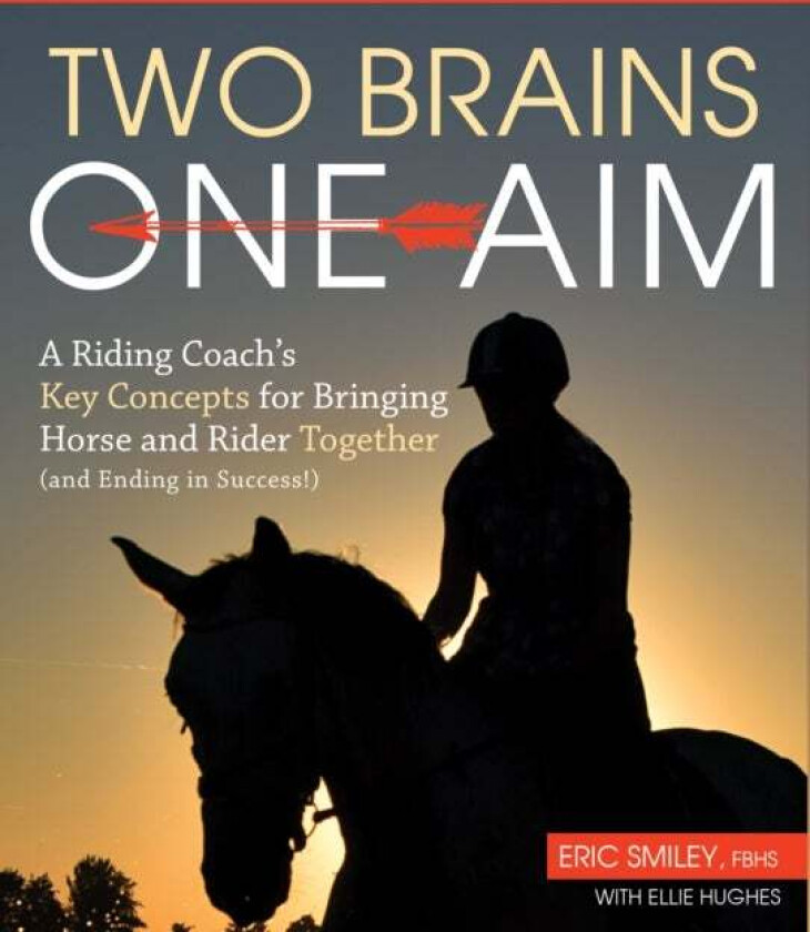 Two Brains, One Aim av Eric Smiley