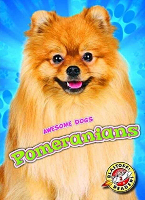 Pomeranians av Domini Brown