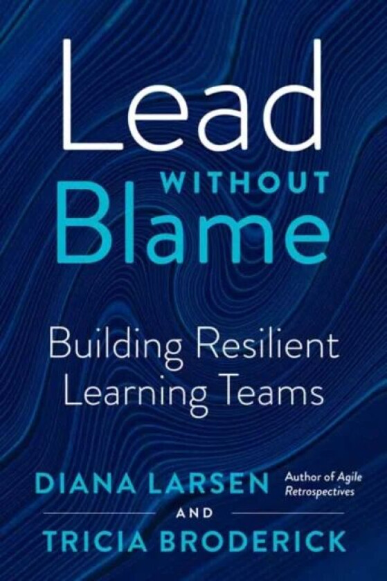 Lead without Blame av Diane Larsen, Tricia Broderick