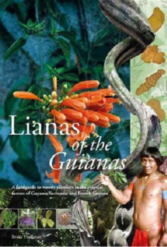Lianas of the Guianas av Bruce Hoffman