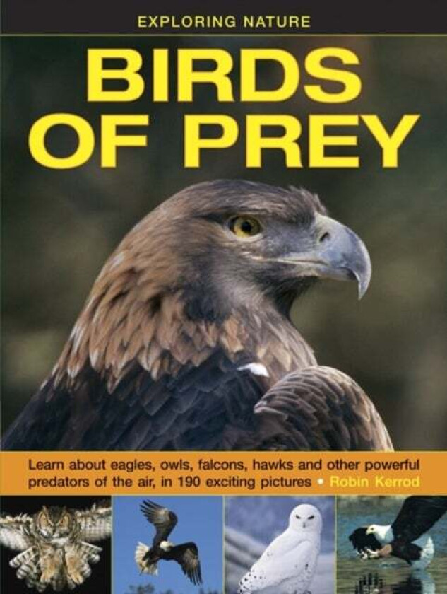 Exploring Nature: Birds of Prey av Kerrod Robin