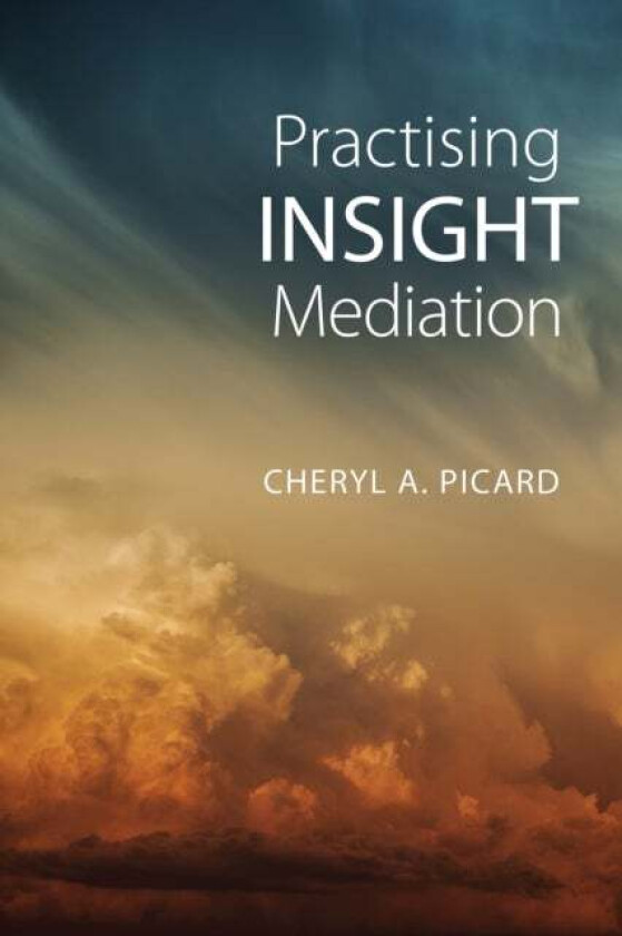 Practising Insight Mediation av Cheryl A. Picard