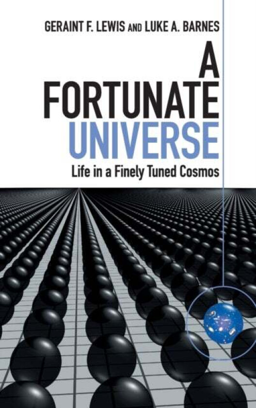 A Fortunate Universe av Geraint F. (University of Sydney) Lewis, Luke A. (University of Sydney) Barnes