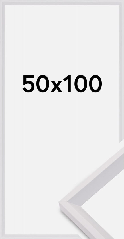 Ramme Globe Akrylglass Hvit 50x100 Cm