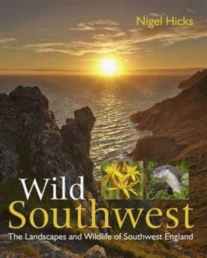 Wild Southwest av Nigel Hicks