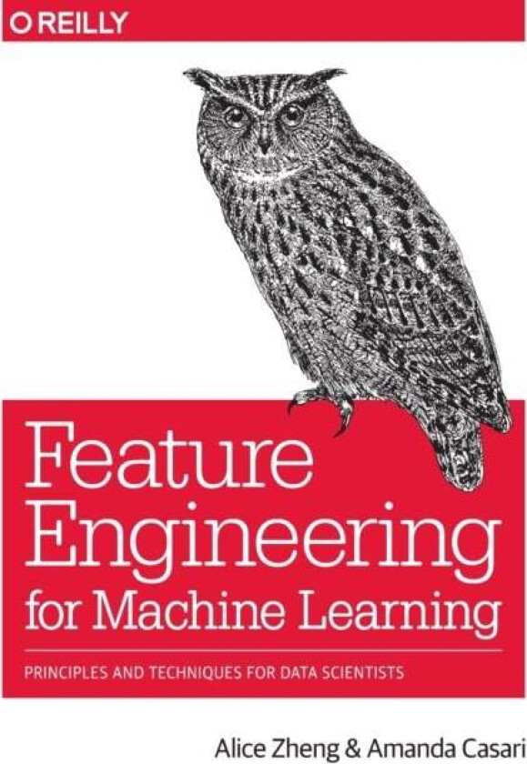 Feature Engineering for Machine Learning av Alice Zheng