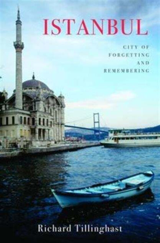 Istanbul av Richard Tillinghast