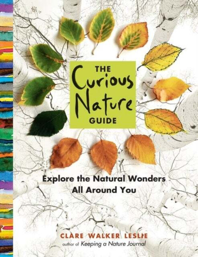 The Curious Nature Guide av Clare Walker Leslie