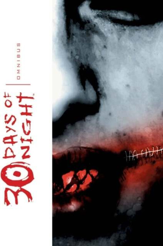 30 Days of Night Omnibus, Vol. 1 av Steve Niles