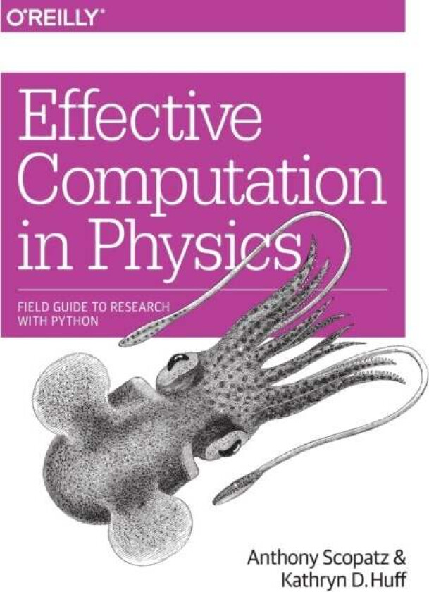 Effective Computation in Physics av Anthony Scopatz, Kathryn Huff