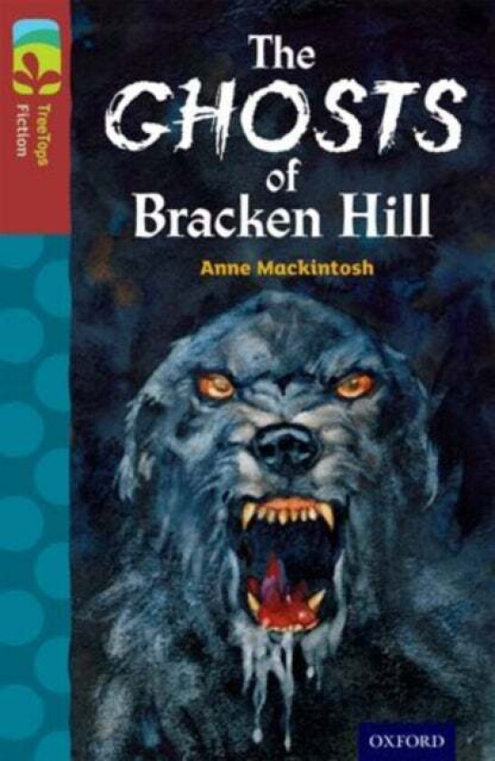 Oxford Reading Tree TreeTops Fiction: Level 15: The Ghosts of Bracken Hill av Anne Mackintosh