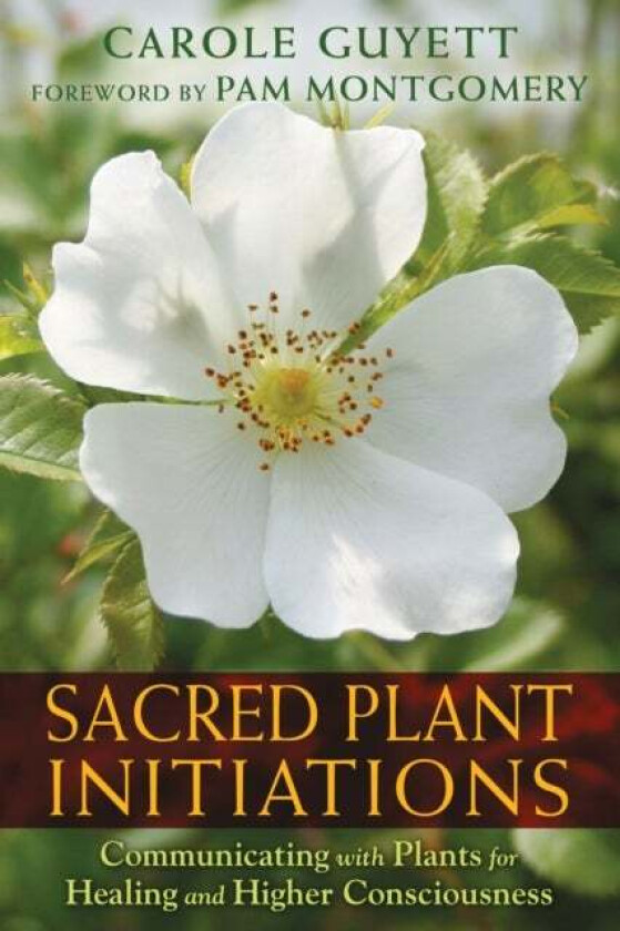 Sacred Plant Initiations av Carole Guyett