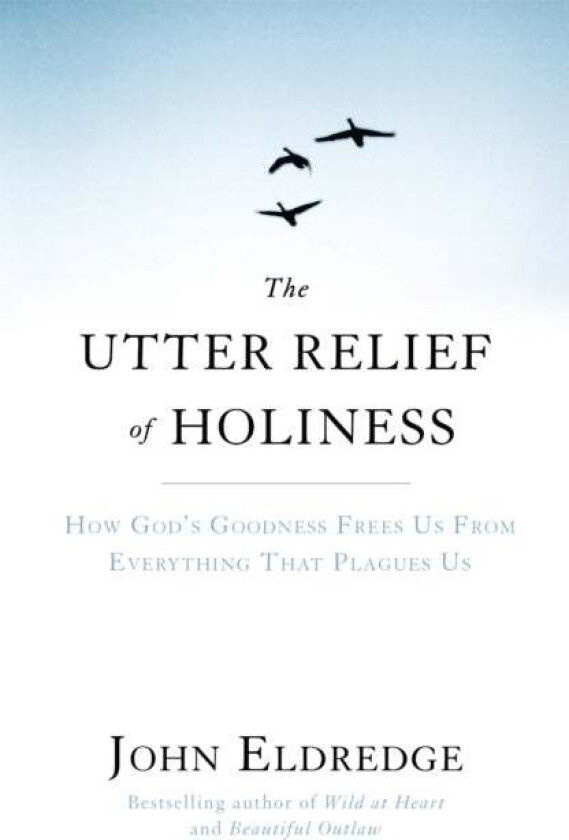 The Utter Relief of Holiness av John Eldredge