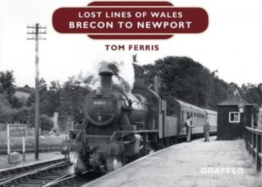 Lost Lines of Wales: Brecon to Newport av Tom Ferris