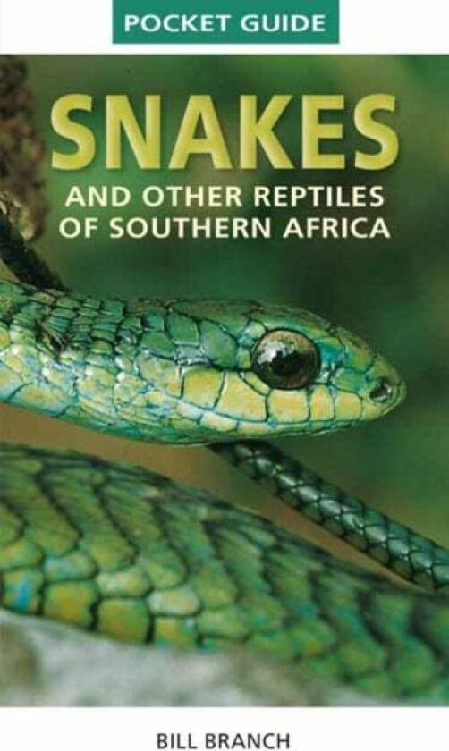 Pocket Guide to Snakes and other reptiles of Southern Africa av Bill Branch