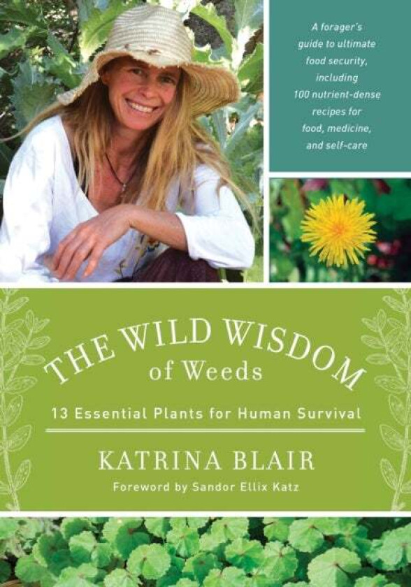 The Wild Wisdom of Weeds av Katrina Blair