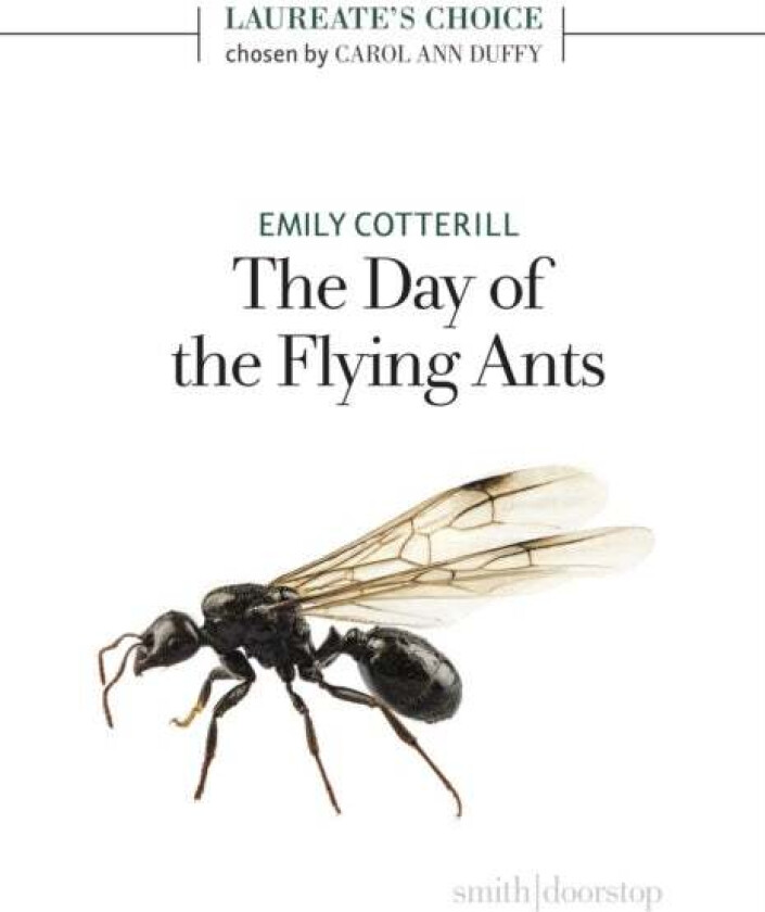 The Day of the Flying Ants av Emily Cotterill