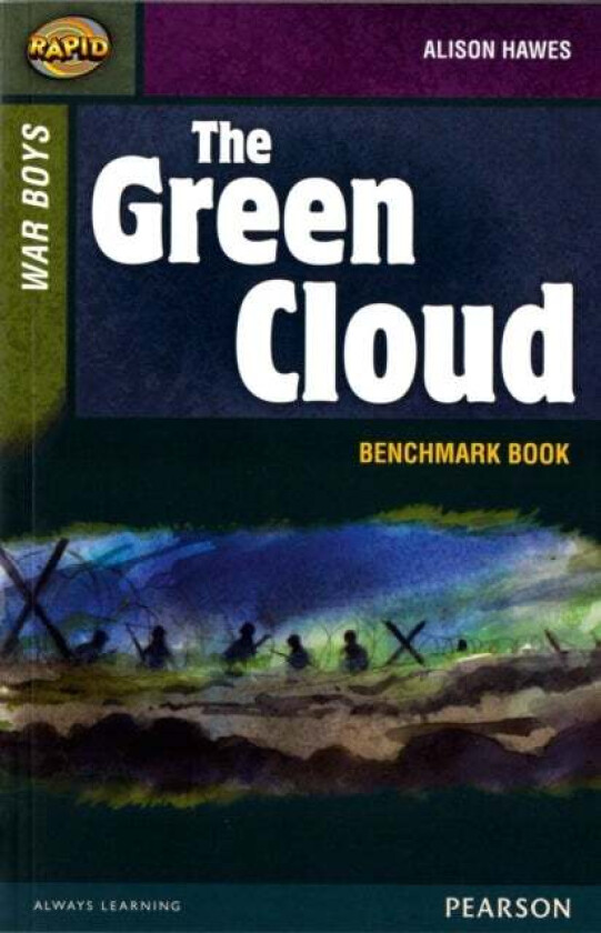 Rapid Stage 8 Assessment book: The Green Cloud av Alison Hawes, Dee Reid