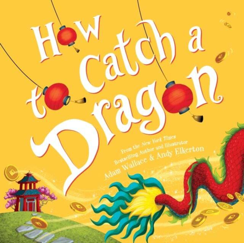 How to Catch a Dragon av Adam Wallace
