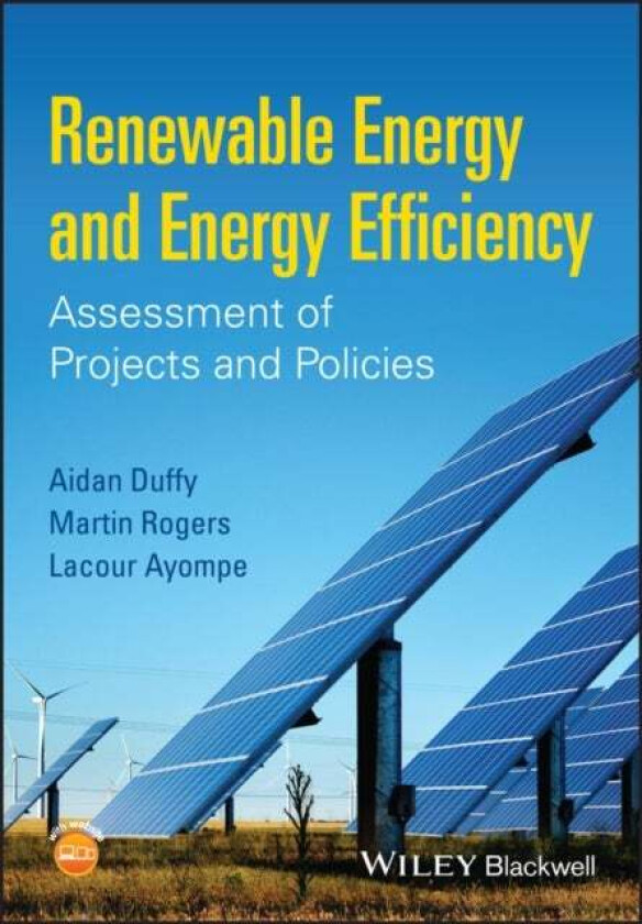 Renewable Energy and Energy Efficiency av Aidan (Dublin Institute of Technology) Duffy, Martin (International Energy Research Centre) Rogers, Lacour (
