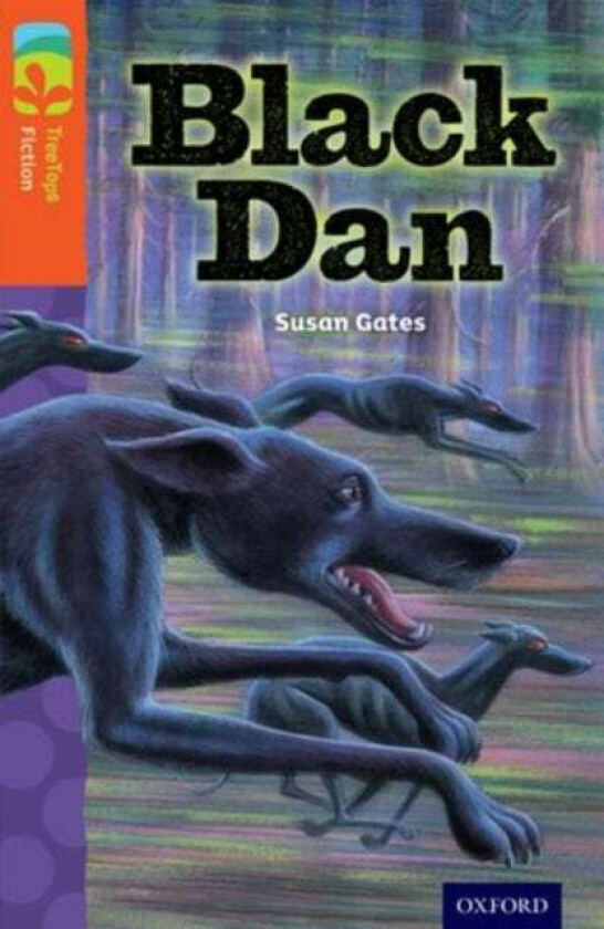 Oxford Reading Tree TreeTops Fiction: Level 13 More Pack A: Black Dan av Susan Gates