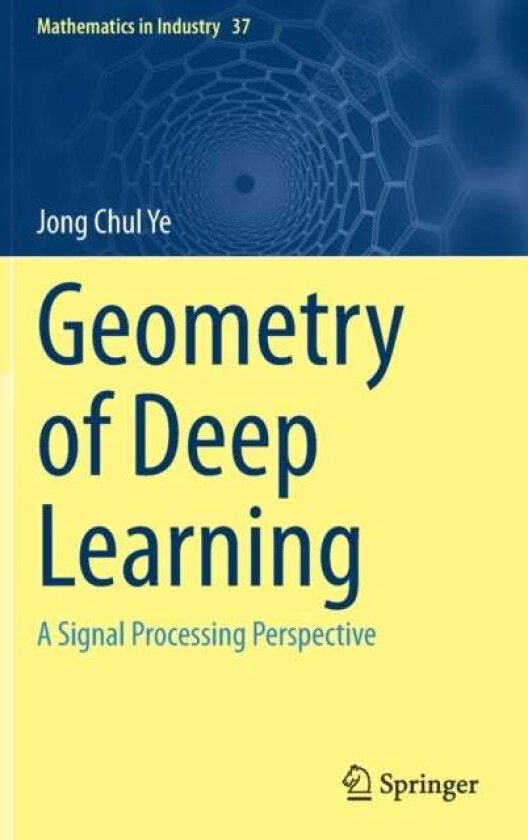 Geometry of Deep Learning av Jong Chul Ye