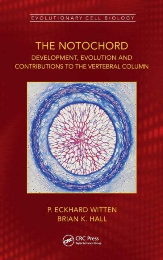 The Notochord av P. Eckhard Witten, Brian K. (Dalhousie Univ Hall