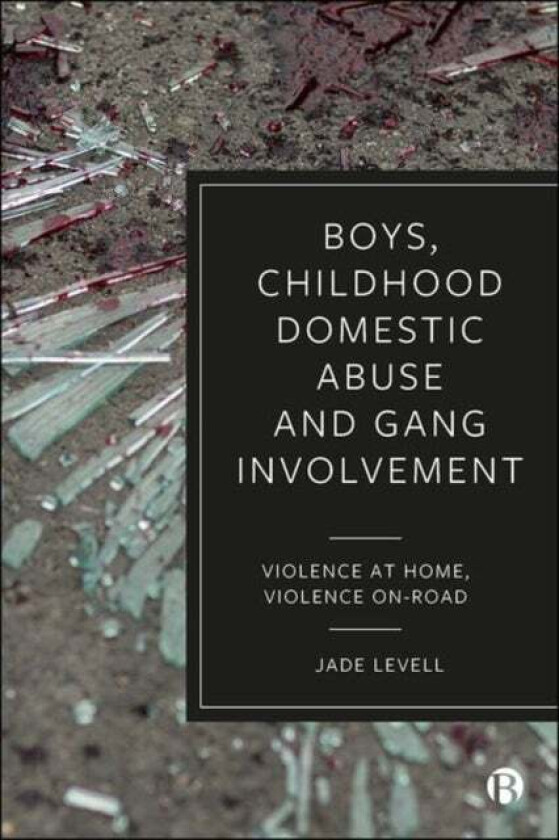 Boys, Childhood Domestic Abuse and Gang Involvement av Jade (University of Bristol) Levell