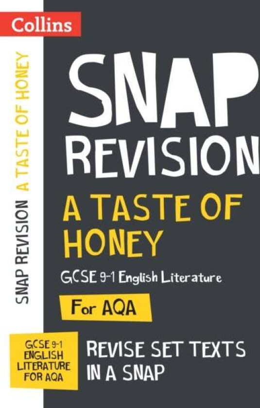 A Taste of Honey AQA GCSE 9-1 English Literature Text Guide av Collins GCSE