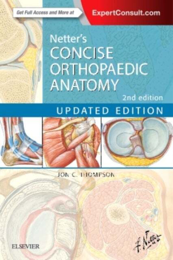 Netter's Concise Orthopaedic Anatomy, Updated Edition av Jon C. (Staff Orthopaedic Surgeon Irwin Army Community Hospital Fort Riley Kansas USA) T