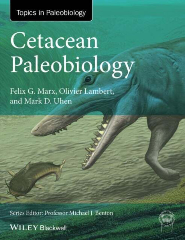 Cetacean Paleobiology av Felix G. (University of Otago) Marx, Olivier (Museum National d Histoire Naturelle) Lambert, Mark D. (George Mason University