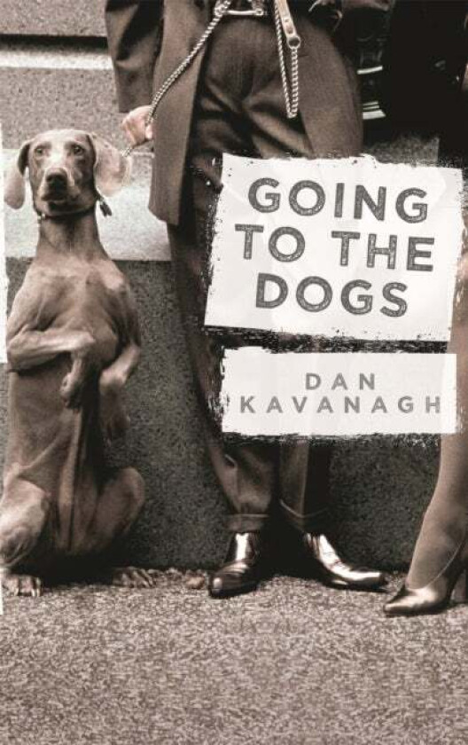 Going to the Dogs av Dan Kavanagh