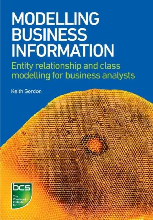 Modelling Business Information av Keith Gordon