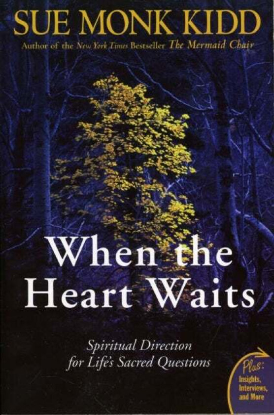 When The Heart Waits av Sue Monk Kidd