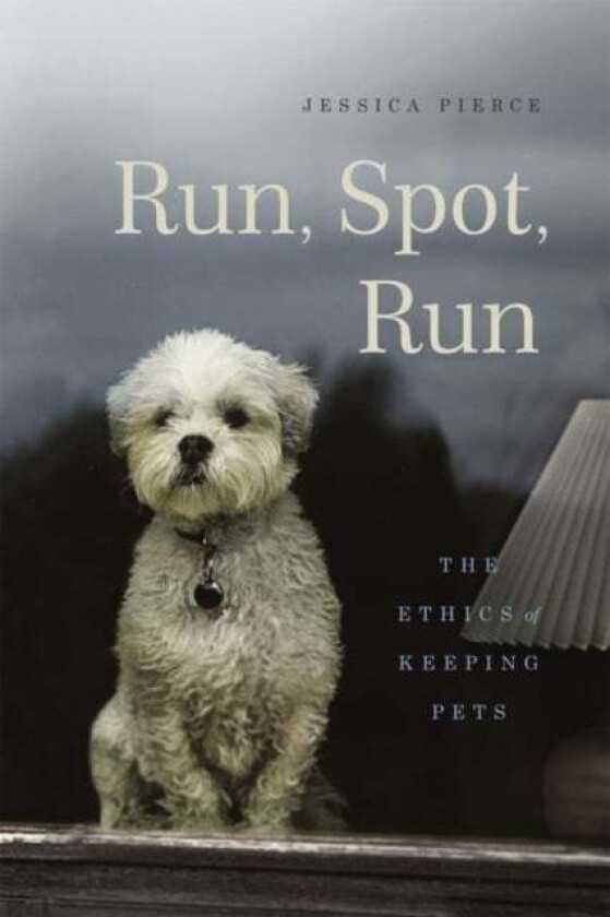 Run, Spot, Run av Jessica Pierce