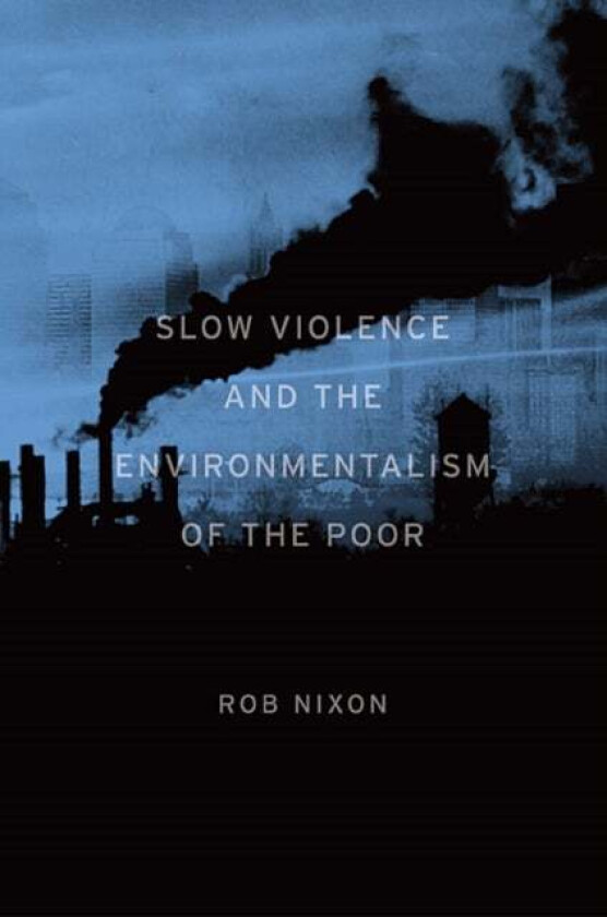 Slow Violence and the Environmentalism of the Poor av Rob Nixon