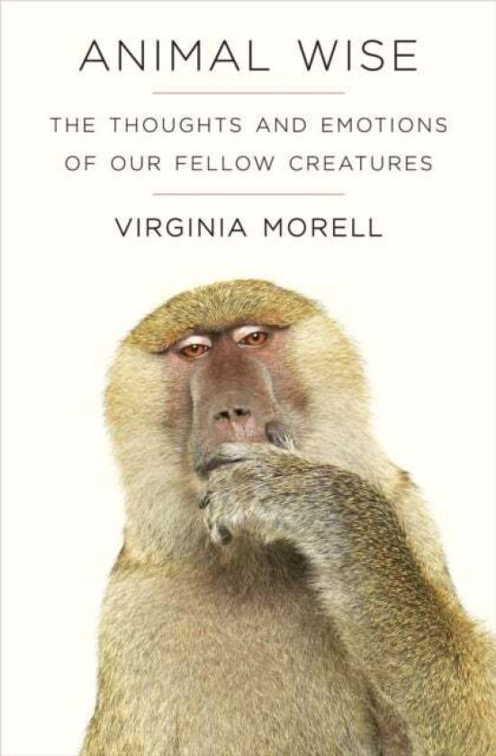 Animal Wise av Virginia Morell
