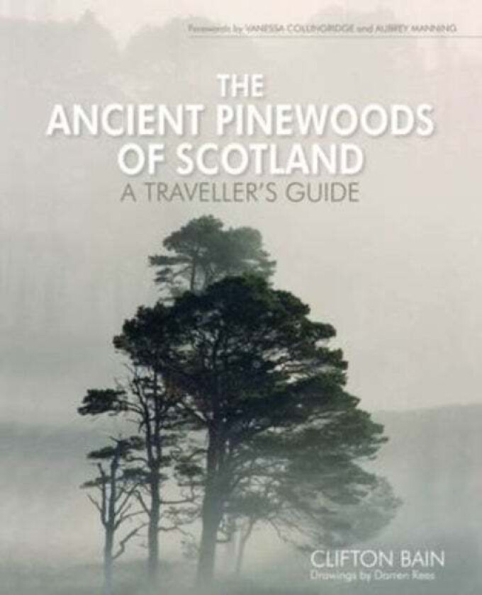 The Ancient Pinewoods of Scotland av Clifton Bain