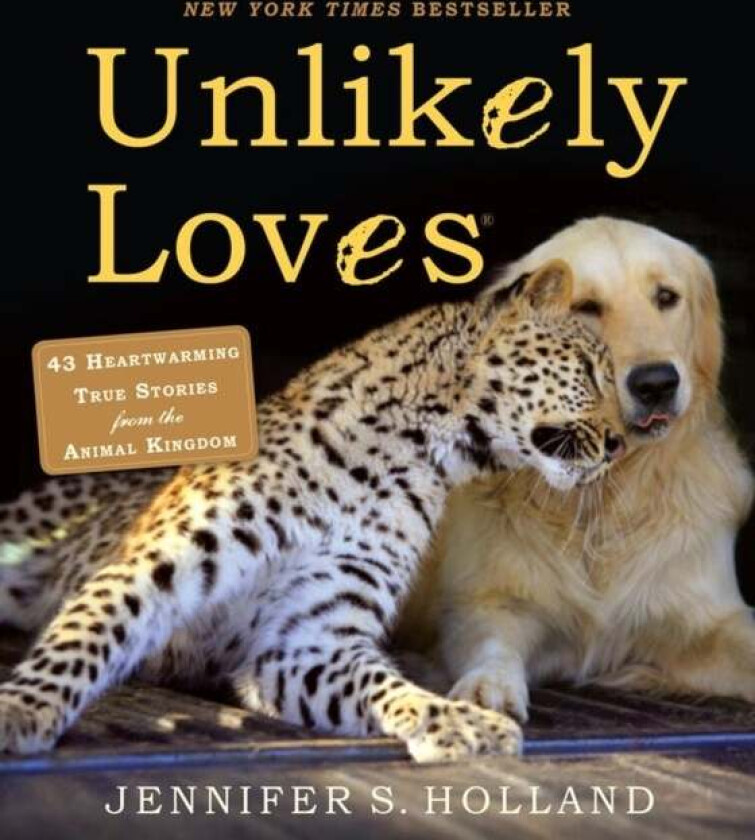 Unlikely Loves av Jennifer S. Holland