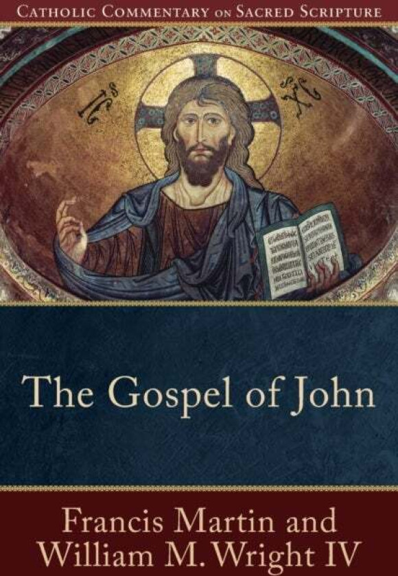 The Gospel of John av Francis Martin, William M. Iv Wright, Peter Williamson, Mary Healy